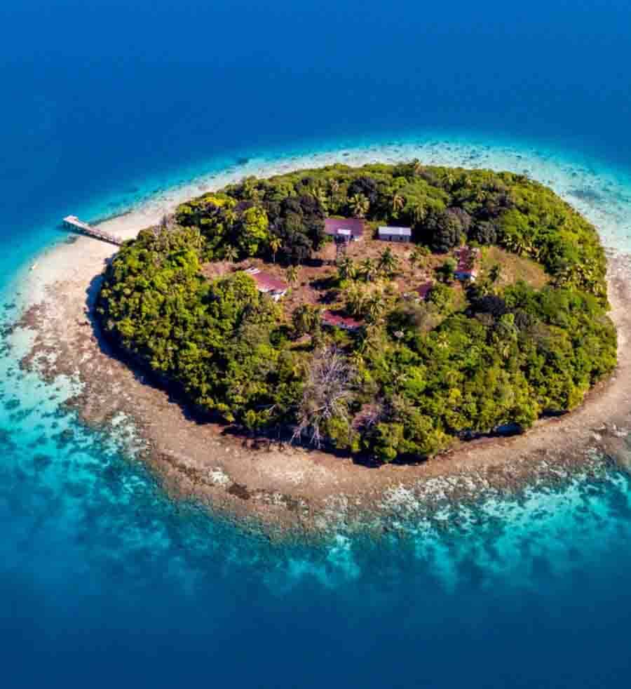 Tonga image