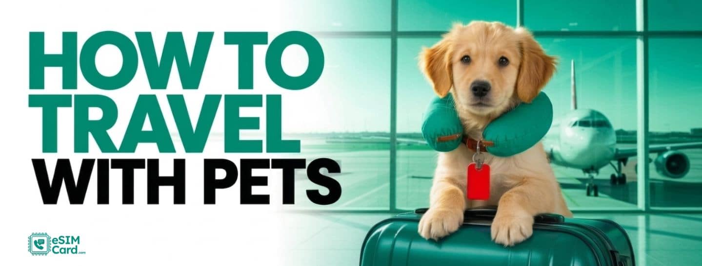 Photo inspiration: Visual Reference: How To Travel With Pets 2026 Airline Customs Guide
