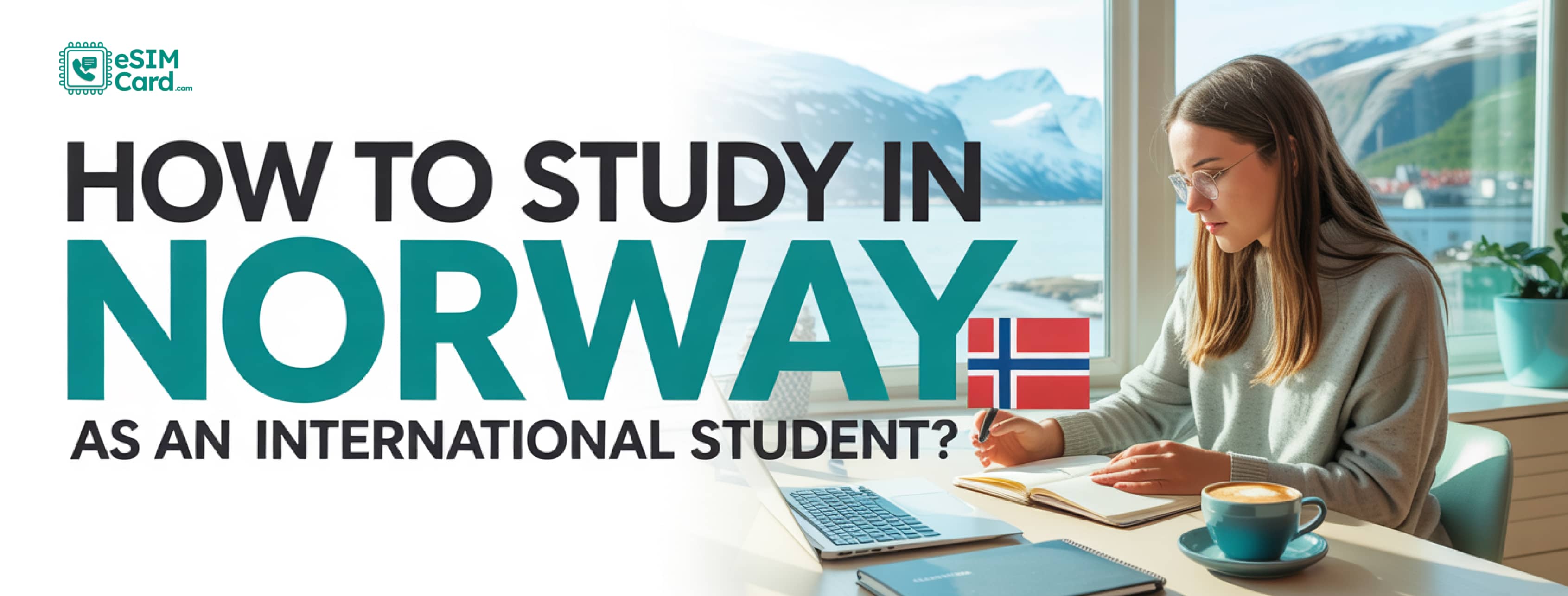 How To Study in Norway as an International Student?